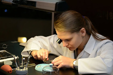 尊皇北京保养服务中心地址有哪些？